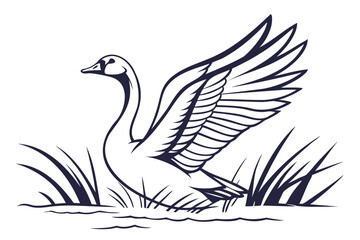 Elegant swan illustration vector drawing of a beautiful bird in nature with graceful wings and long neck isolated on transparent background