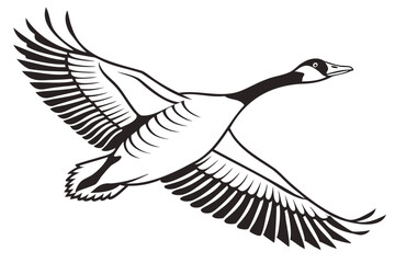 Flying goose vector illustration of waterfowl in flight with detailed wings and feathers drawing for design 100 isolated on transparent background