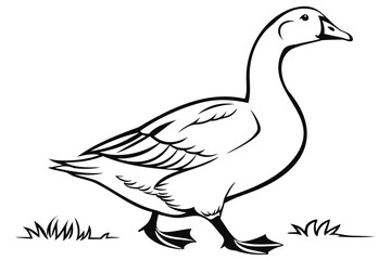 Goose outline drawing vector illustration for coloring pages and educational resources for kids and adults isolated on transparent background