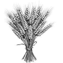 Black sketch of wheat bundle, vintage engraving style, monochrome grunge texture, rustic botanical illustration, farmhouse decor vector, block print grain design, antique style © Vintage Studio