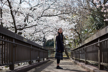 春の桜満開の公園で遊ぶ元気な女子中学生の姿