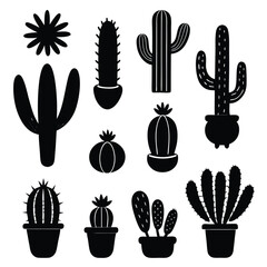 Fototapeta premium Adobe Illustrator Artwork