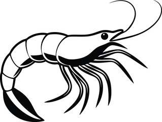 vector illustration of shrimp
