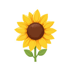 Simple, Detailed Sunflower Illustration
