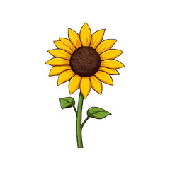 Detailed, Retro Themed Sunflower Illustration
