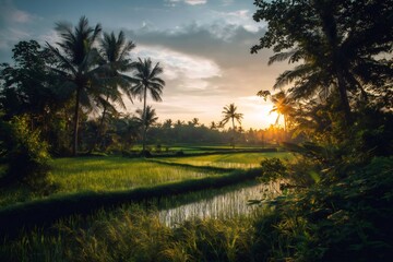 Golden hour sunlight bathes a vibrant rice field, framed by palm trees and tropical vegetation in Bali