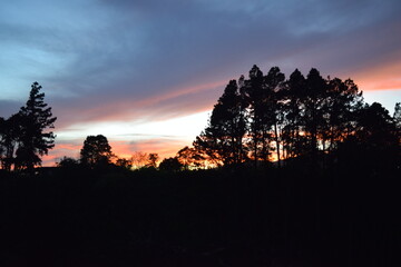 Dramatic Sunset Sky with Silhouetted Trees on the Horizon