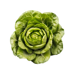 Fototapeta premium Green lettuce is fresh and healthy vegetable, isolated on transparent background png