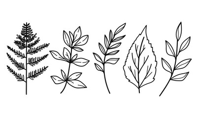 Hand drawn floral minimal elements in line art style.