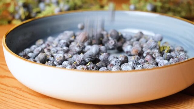 Multiple fresh juniper berries with light blue bloom falling into a ceramic bowl in slow motion. Close-up of natural ingredients with rustic style and cinematic movement.