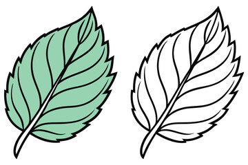 Cartoon leaf displays light green hues and black line work alongside a line art version