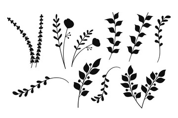 Silhouette Floral Collection for Wedding Invitations. Vector illustration