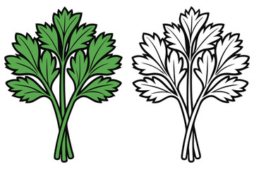 Fresh green parsley leaves are presented alongside a black and white line drawing on white