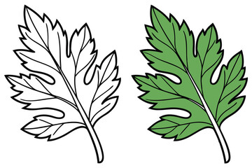 Two parsley leaves showcase a fresh green hue with outlines for coloring book use