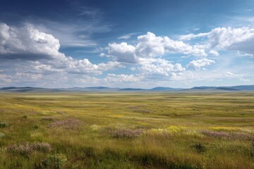Vast Grasslands Under a Blue Sky with Puffy Clouds, A Serene Landscape of Rolling Hills and Wildflowers