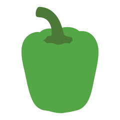 Green bell pepper vector illustration isolated on white background - fresh sweet vegetable for organic food design, vegan cooking projects, grocery labels, healthy eating concepts etc.