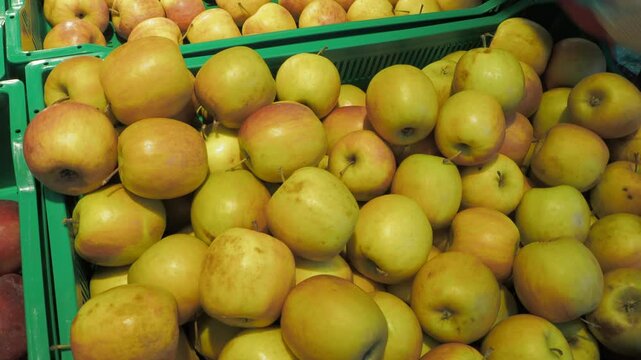 Retail trade. Ripe apples are stored in boxes on the store counter so that customers can choose the fruits they like. Hand held. Siberia.