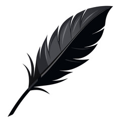 Obraz premium Elegant Black Feather Silhouette on White Background 