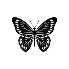 butterfly isolated on white background.black and white monarch butterfly isolated on a white background