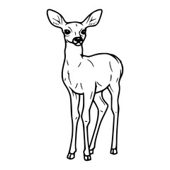 fawn outline drawing