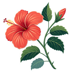 Create a bold, vector illustration of a vibrant tropical hibiscus flower with thick black outlines, showcasing intricate details of petals and stamen.