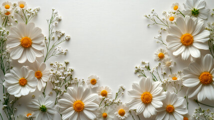 Obraz premium White daisies and gypsophila flowers arranged on white background 