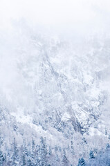 Mixed woodland with snow, a waterfall and bare trees