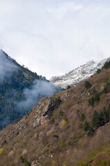 Rugged forested mountain with snowy treetops