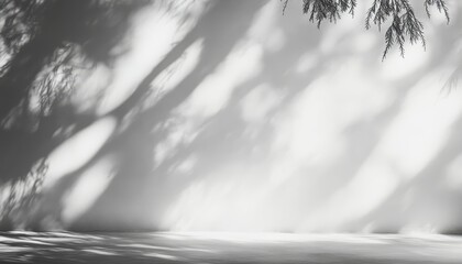 Obraz premium Empty studio background with natural shadows