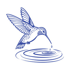 blue bird in water