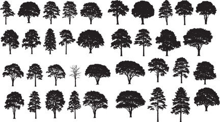 Tree silhouette vector collection