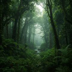 Obraz premium Lush Green Rainforest Path with Fog and Stream