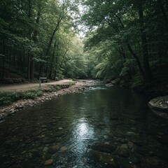 Obraz premium Serene Forest River Landscape with Tranquil Water