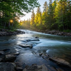 Serene River at Sunset with Golden Sunlight and Lush Green Trees
