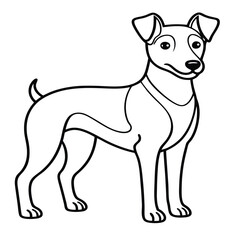 Adobe Illustrator Artwork