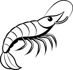 vector illustration of shrimp