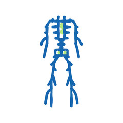 lymphatic system icon doodle illustration