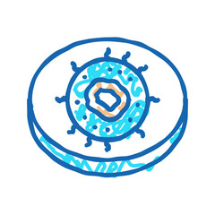 nl cell immunity icon doodle illustration