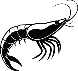 shrimp vector illustration