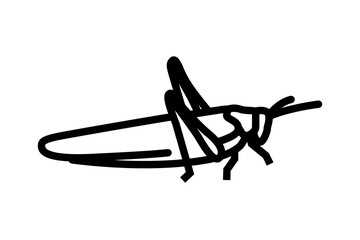 Grasshopper line icon. linear style sign for mobile concept and web design. Grasshopper insect outline vector icon. Symbol, logo illustration. Vector graphics
