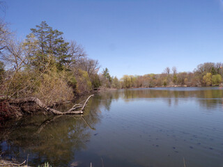 Spring landscape with trees and  pond