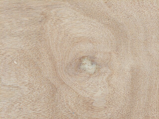 Plywood texture, natural pattern. Beautiful wood pattern. Background surface and parquet.