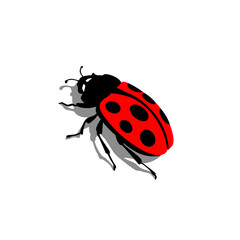 An Illustration Of A Red Bug