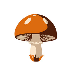 Round Mushroom Illustration