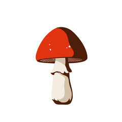 Red Mushroom Illustration