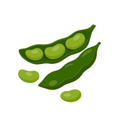 Patani (Lima Beans)