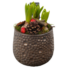 Velikonoční aranžmá s jarními květinami