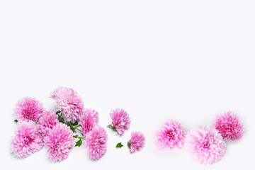 Natural pattern. floral frame chrysanthemum. Beautiful flowers composition.