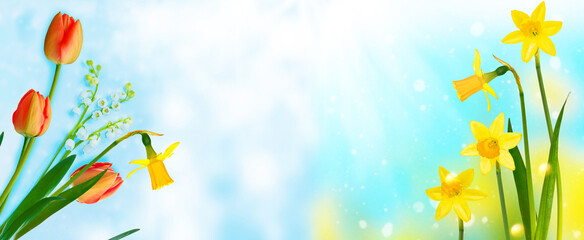 Easter. Natural floral composition. daffodil. Spring flowers lilies of the valley and tulips.