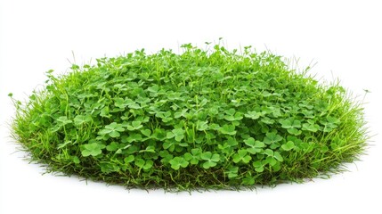Fototapeta premium Vibrant Green Clover Patch: A Lush Island of Nature's Bounty